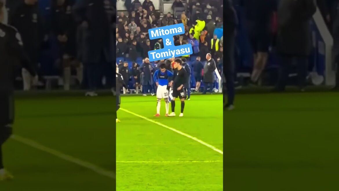 Mitoma and Tomiyasu Mitoma and Tomiyasu