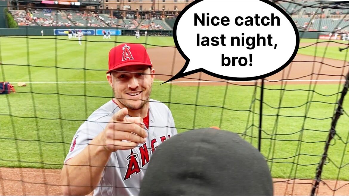 I impressed MIKE TROUT by catching a home run!