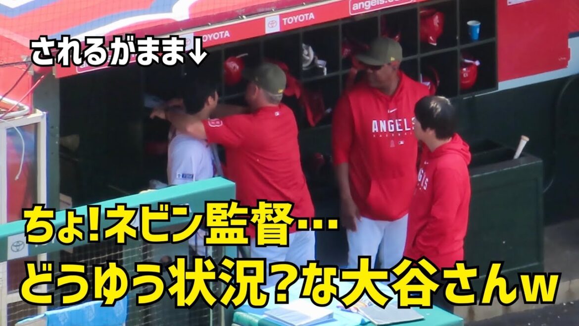 Hey! Director Nevin... To Otani-san, why?Behavior was too funny w Angels Shohei Ohtani Local footage