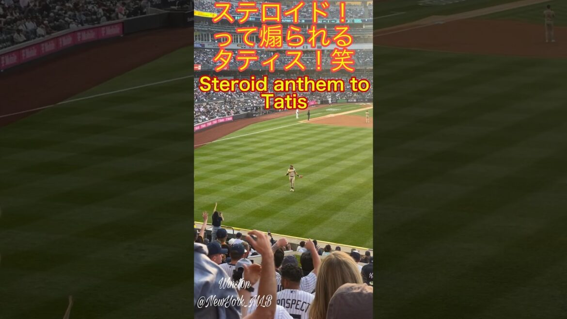 Darvish’s colleague Tatis is incited! Steroid Call Tatis Steroid anthem from #RepBX fans #newyorkmlb Darvish's colleague Tatis is incited! Steroid Call Tatis Steroid anthem from #RepBX fans #newyorkmlb