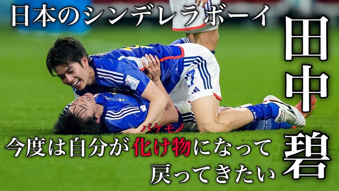 Japanese Cinderella Boy Midori Tanaka