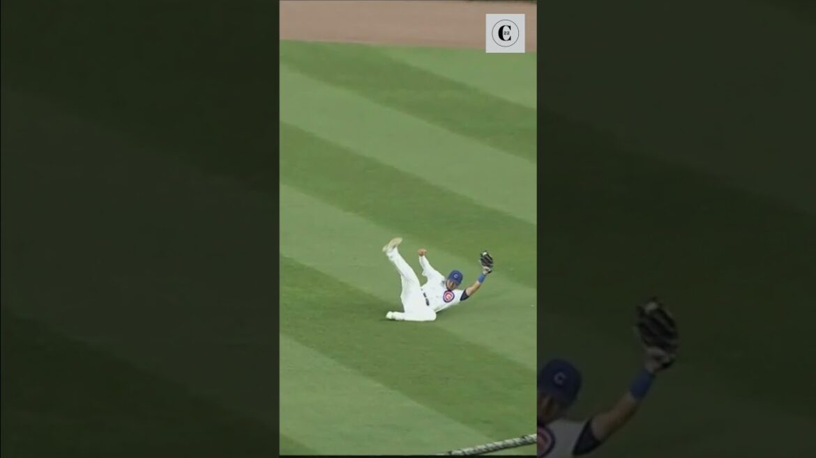 MLB / CUBS Seiya Suzuki's IMPRESSIVE Sliding Catch vs Rays #shorts #mlb #seiyasuzuki #fyp