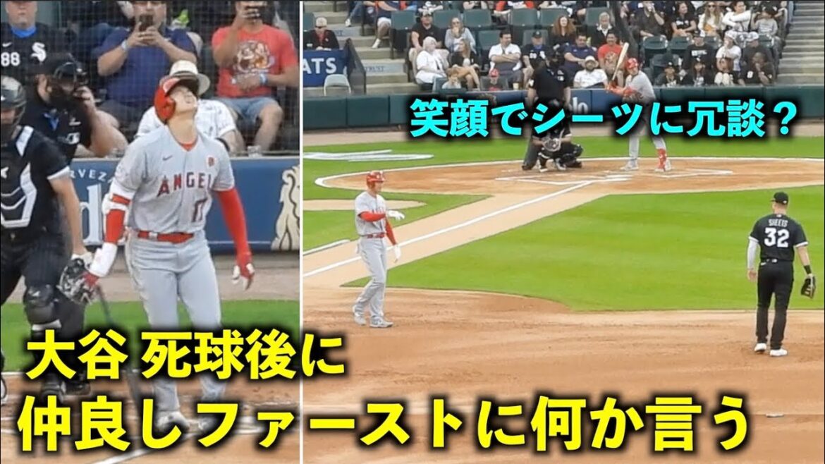 A joke while grinning? Shohei Otani says something to the first sheet after being hit by a pitch w[Local video]Angels vs. White Sox Round 1 5/30