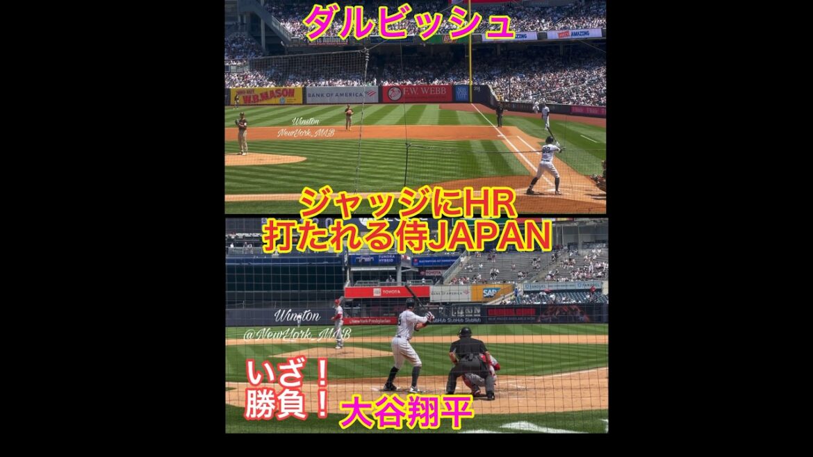 at the same time!Judge homer from Ohtani&Darvish #newyorkmlb #shohei ohtani #darvish at the same time!Judge homer from Ohtani&Darvish #newyorkmlb #shohei ohtani #darvish