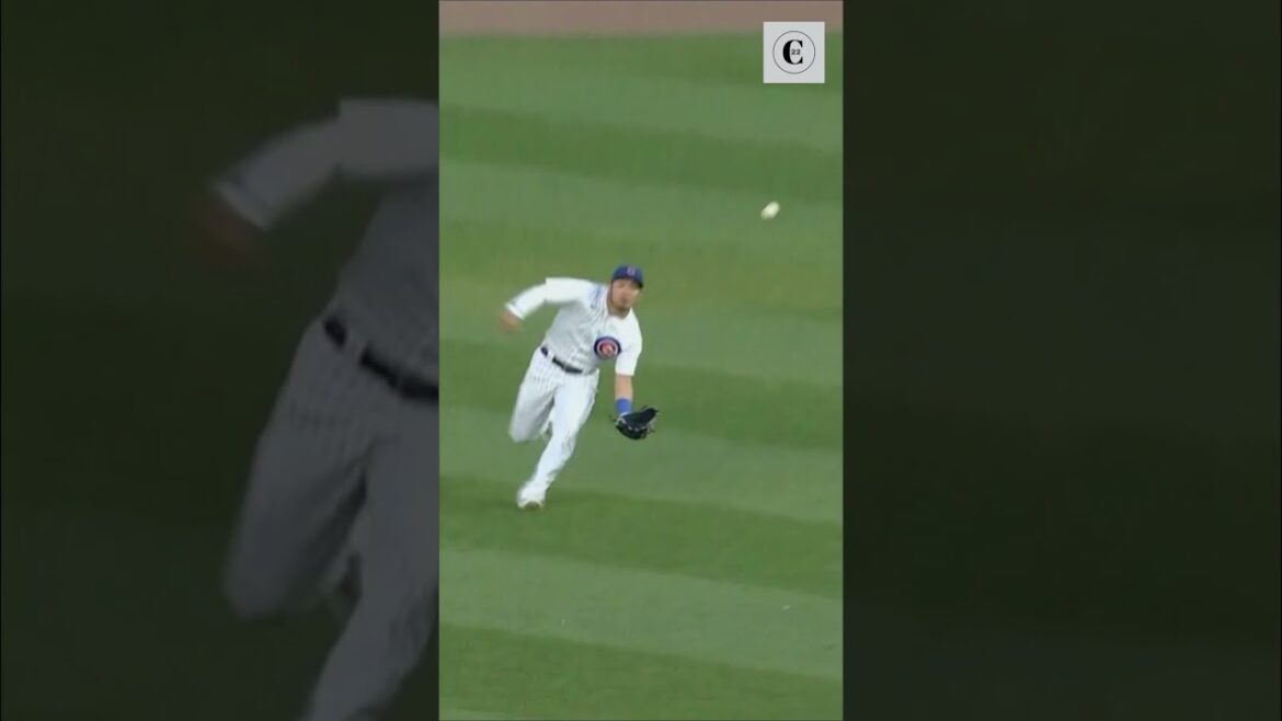 MLB / CUBS Seiya Suzuki's IMPRESSIVE Catch vs Rays! #shorts #mlb #seiyasuzuki #fyp