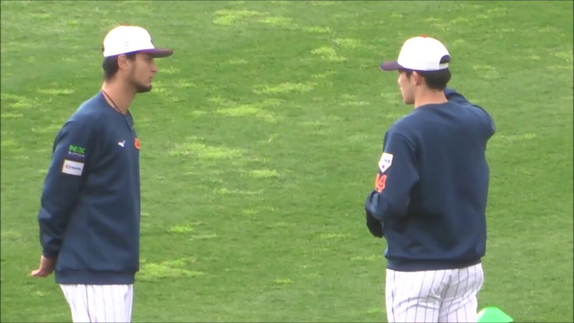 Yu Darvish and Aki Sasaki ~SAMURAI JAPAN Miyazaki Camp 2023~