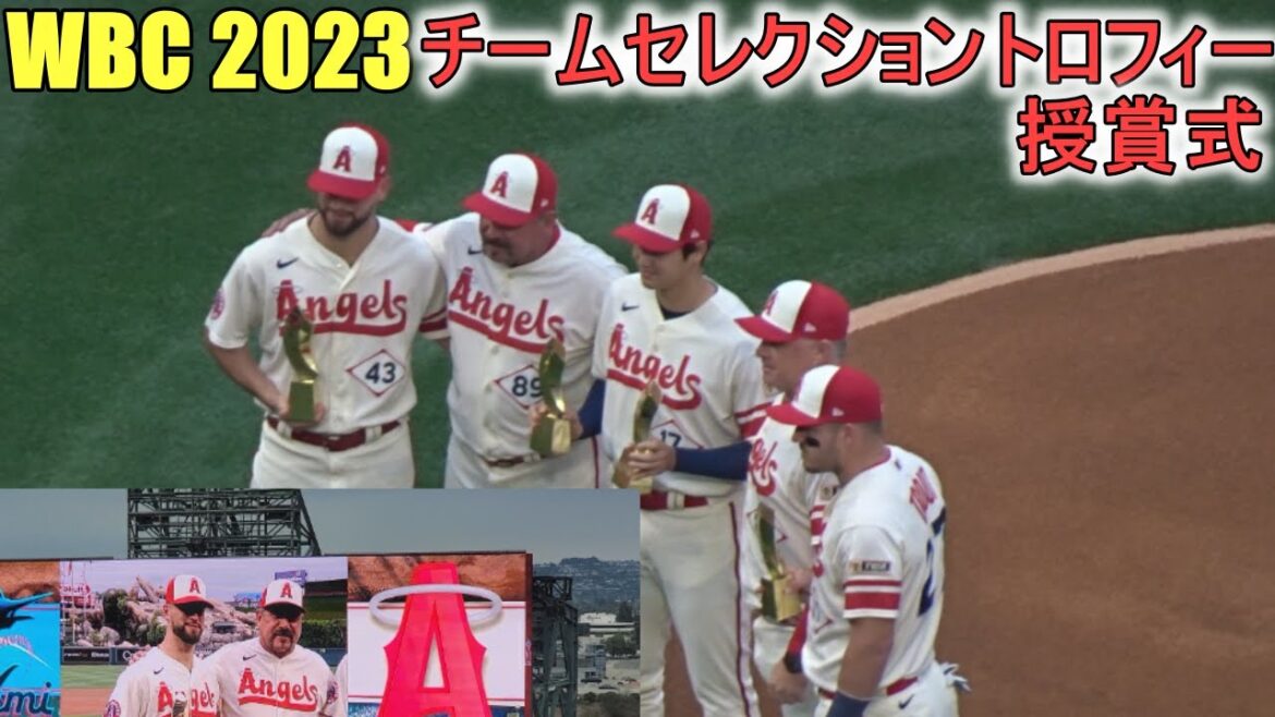 WBC2023 Team Selection Trophy Awards Ceremony[Shohei Ohtani]WBC 2023
