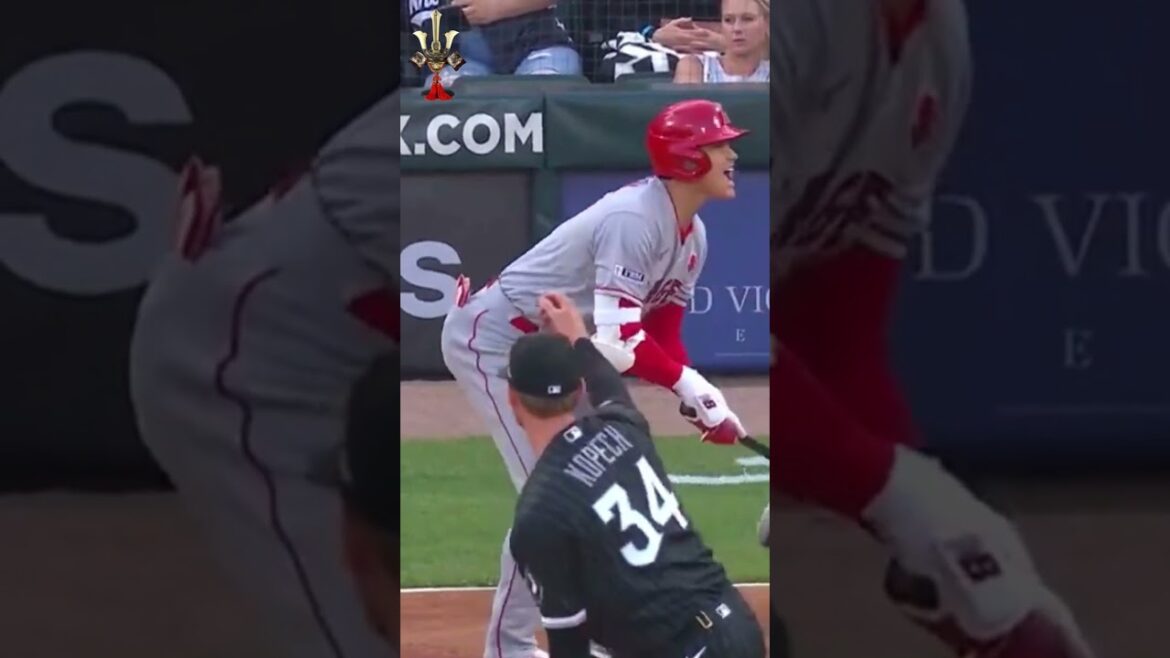 Shohei Ohtani hit by pitch at 95mph on 05292023 against the White Sox.