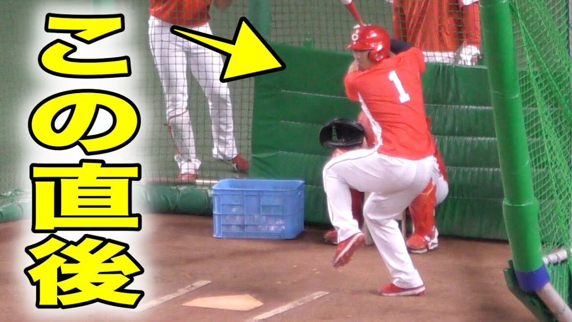 Free batting of Hiroshima Carp Seiya Suzuki! That batted ball is dangerous...[2020 professional baseball]