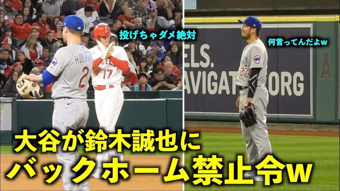 Too funny w Seiya Suzuki grinning at the back home ban from Shohei Otani w[Local video]Angels vs Cubs Round 1 6/7