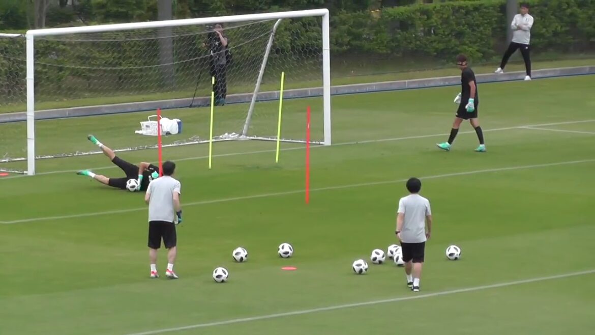 You may understand why Kawashima was used in the World Cup Stopping all shots
