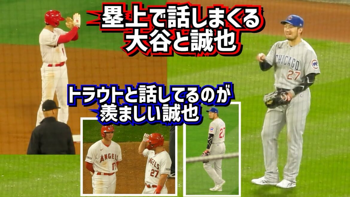 Seiya, who is envious of the relationship between Ohtani and Trout, sees a cancer 😂 The two are good friends and talk from afar[Local video]6/6 vs. Cubs ShoheiOhtani Angels