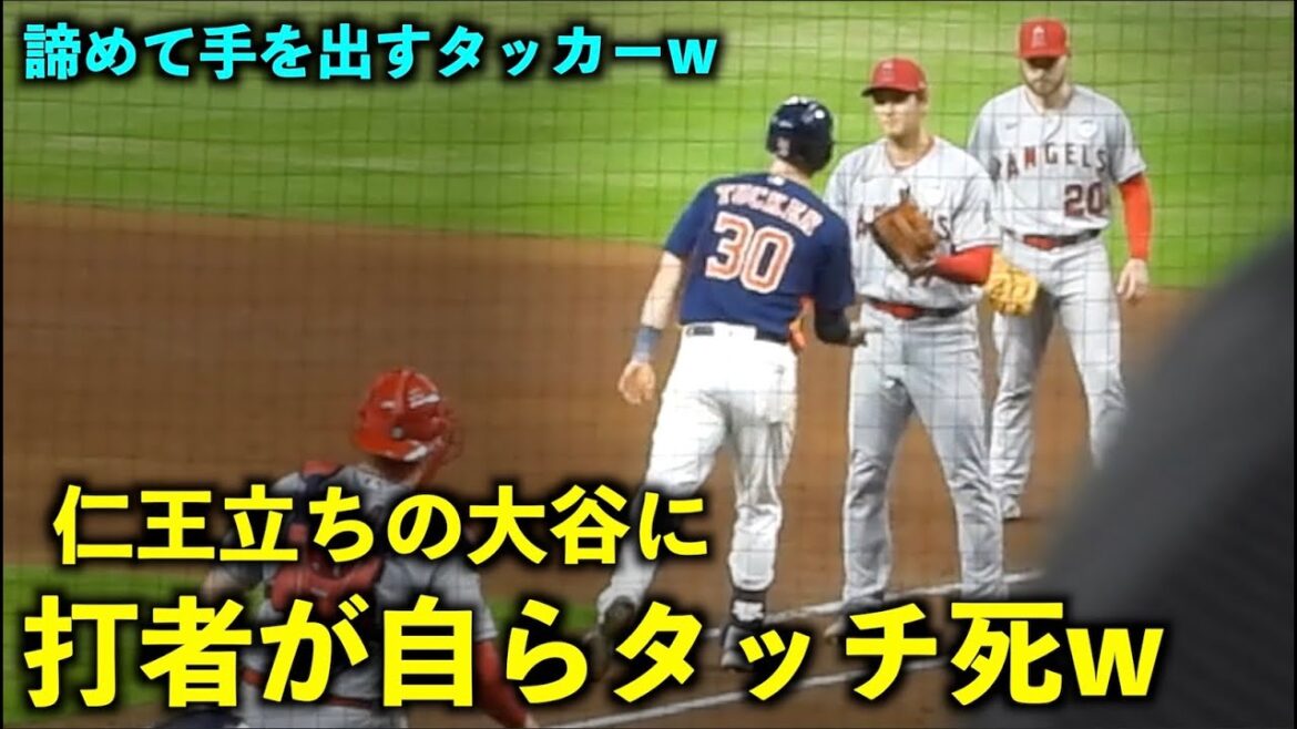 Too funny w Batter goes to be touched by Shohei Otani, who stands tall in front of 1st base w[Local video]Angels vs Astros Round 2 6/3