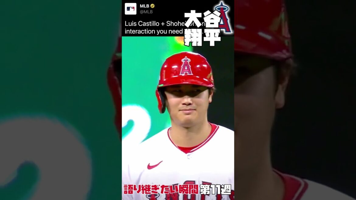 MLB Moments to Remember | Week 11 Summary | Shohei Ohtani Darvish Kodai Senga Masanao Yoshida Seiya Suzuki Trout MLB Moments to Remember | Week 11 Summary | Shohei Ohtani Darvish Kodai Senga Masanao Yoshida Seiya Suzuki Trout