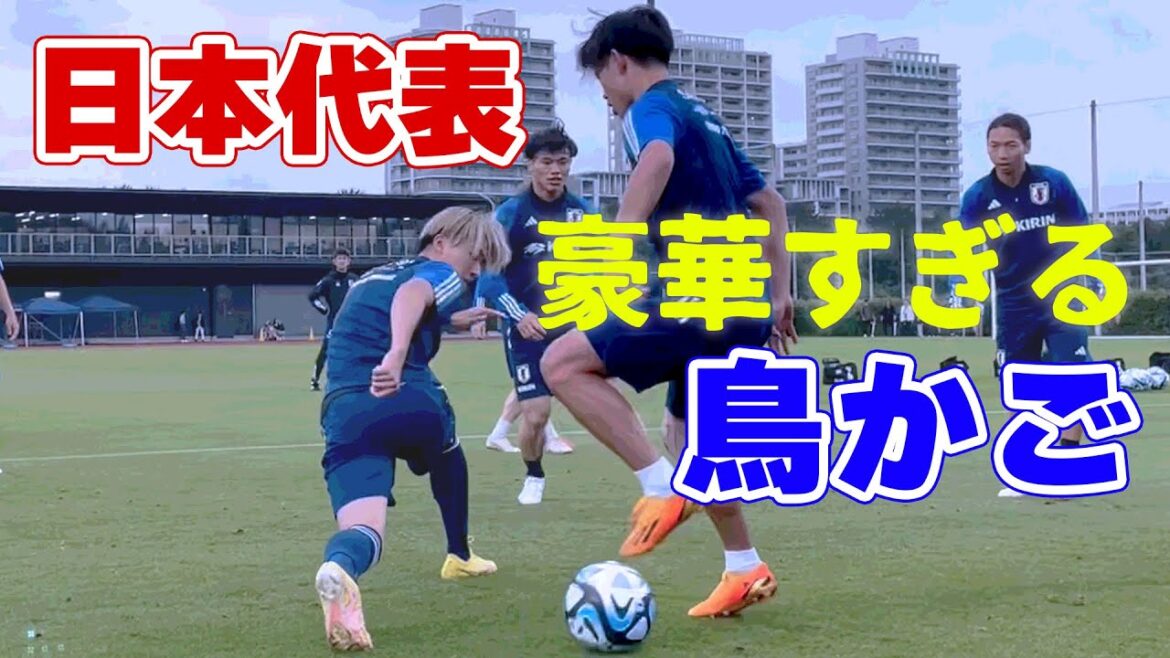 Takefusa Kubo, Kaoru Mitoma, Daichi Kamata, Kyogo Furuhashi! Too luxurious “bird cage” of Japan representative Takefusa Kubo, Kaoru Mitoma, Daichi Kamata, Kyogo Furuhashi! Too luxurious "bird cage" of Japan representative