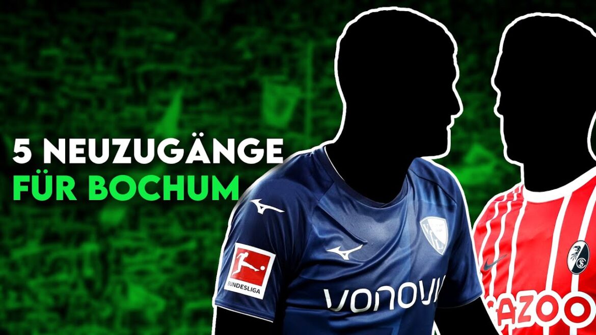 VfL Bochum: 5 transfers for the final establishment in the Bundesliga!