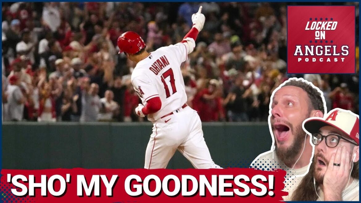Shohei Ohtani IS UNREAL! Halos WIN! Why Los Angeles Angels Depth is SO MUCH Better in 2023 vs. 2022! Shohei Ohtani IS UNREAL! Halos WIN! Why Los Angeles Angels Depth is SO MUCH Better in 2023 vs. 2022!