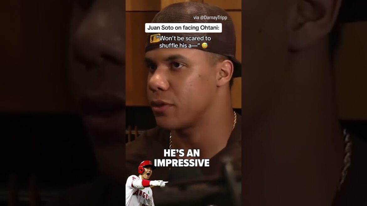 Juan Soto is not scared of Shohei Ohtani 😳 #shorts Juan Soto is not scared of Shohei Ohtani 😳 #shorts