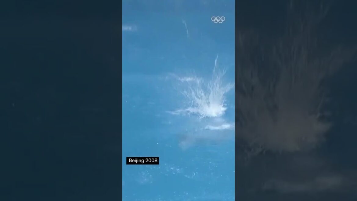 Four GOLDEN dives 🥇