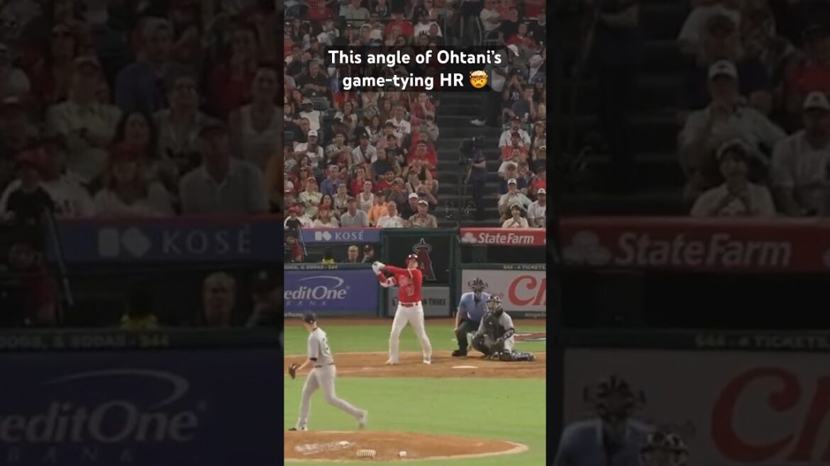 Shohei's bat flip 🔥 (via LasMayores/TW) #mlb #shoheiohtani