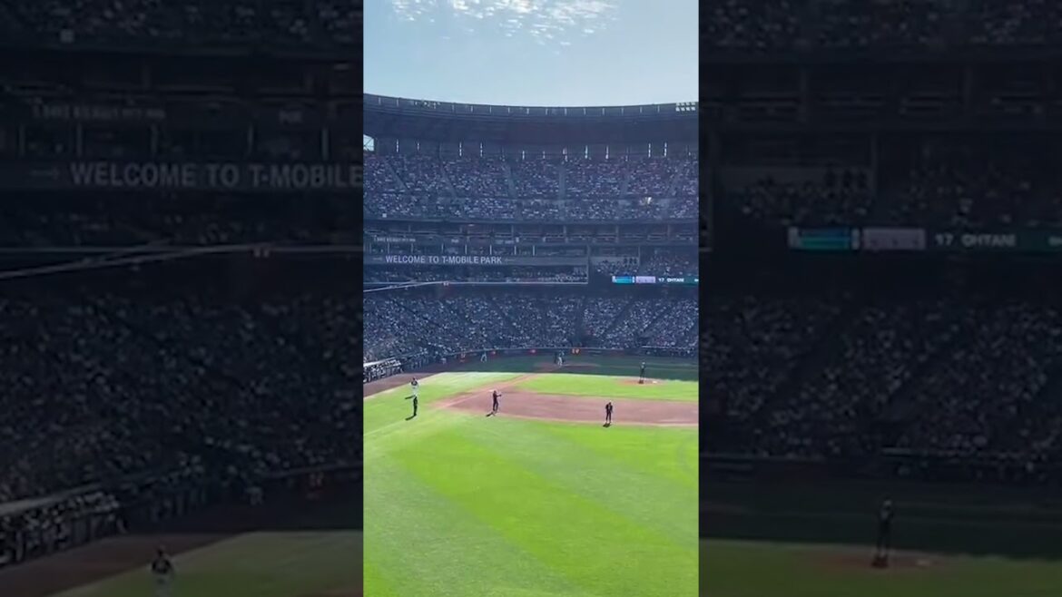 'COME TO SEATTLE' chants break out for Shohei Ohtani - Volume 🆙 (via manley_tnt/TW)