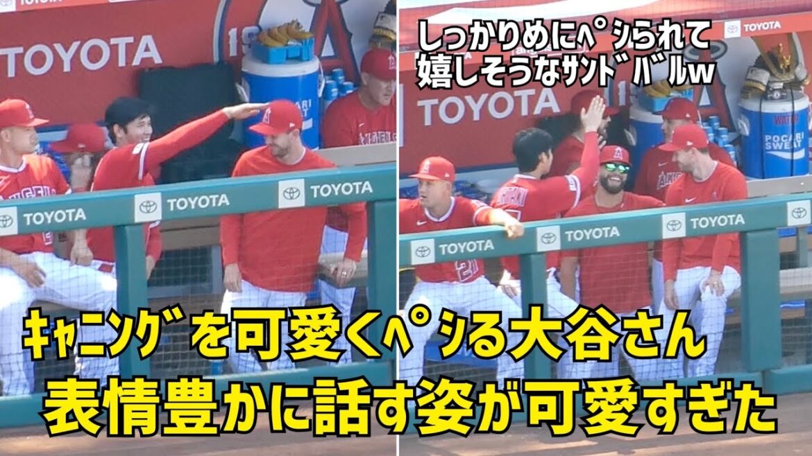 Mr. Otani talking with good friends Shohei Ohtani has a rich expression and is too cute. Angels Shohei Ohtani Mr. Otani talking with good friends Shohei Ohtani has a rich expression and is too cute. Angels Shohei Ohtani