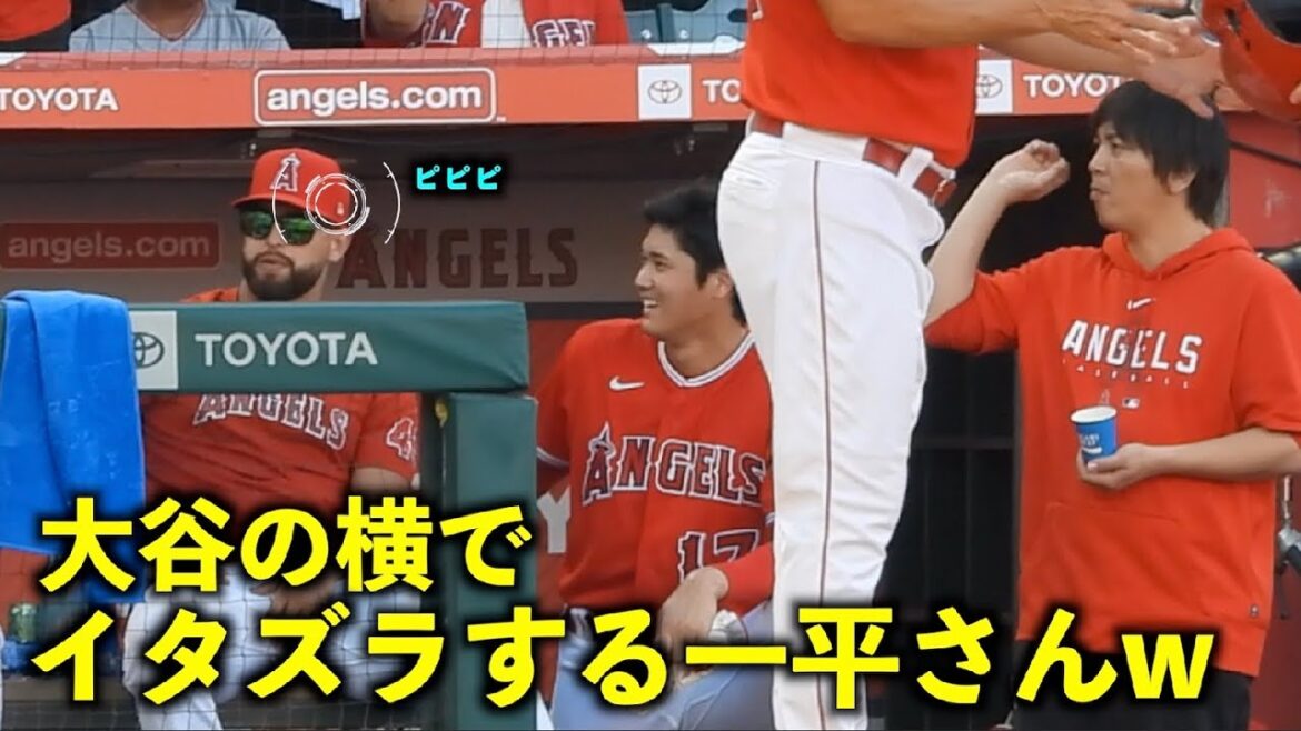 Next to Shohei Otani, Ippei plays a prank on Sandoval w[Local video]Angels vs Yankees Round 3 7/20