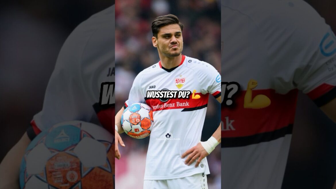 Who knew? π€―πͺπΌπ Who knew? π€―πͺπΌπ