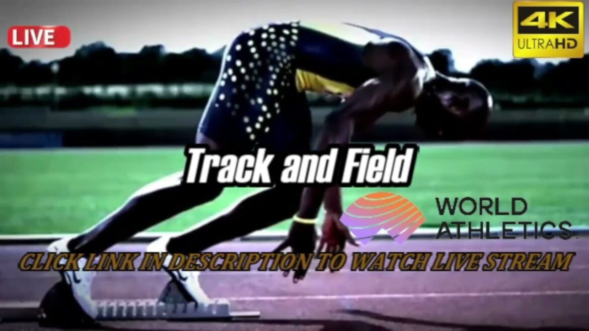 Hammer throw Women Final Meeting de Madrid 2023 - Track and Field