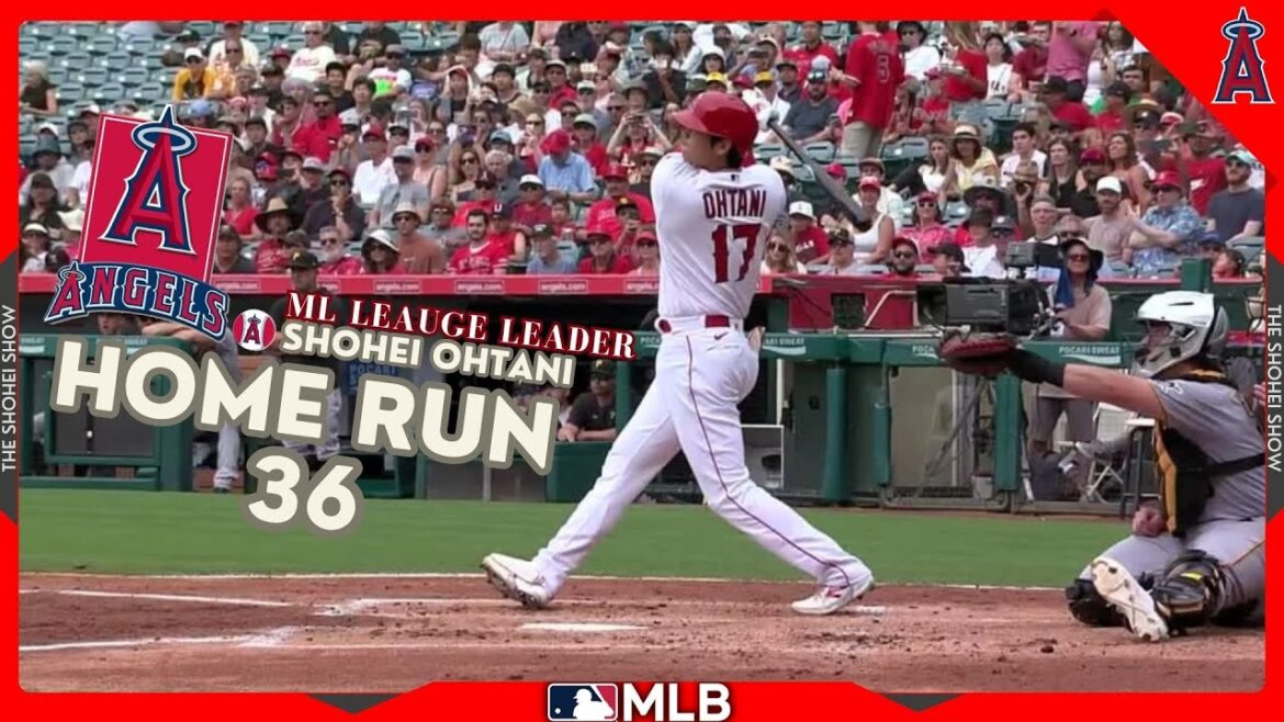 Japanese Phenom Shohei Ohtani's (36) home run 🔥🔥 places him one step closer to the AL Record