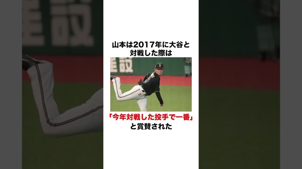 5 interesting episodes of Yoshinobu Yamamoto