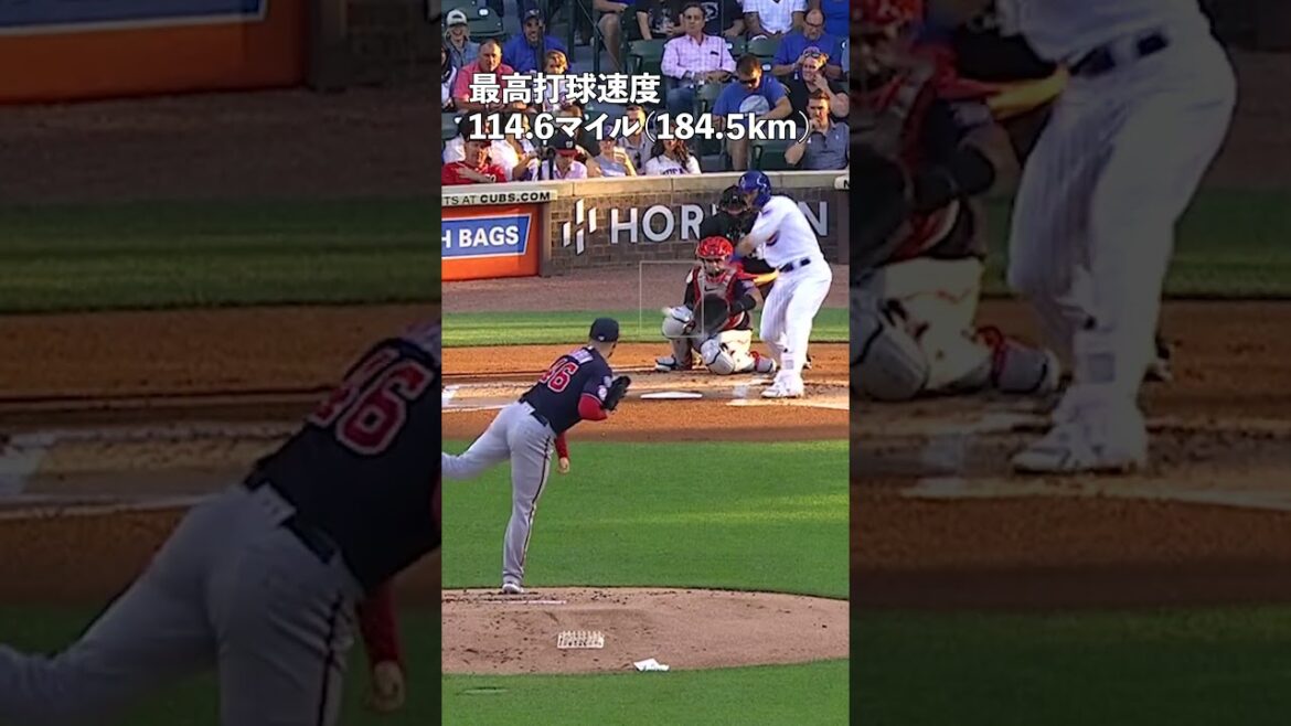 I collected various No. 1s of Seiya Suzuki in 2023 #shorts #Seiya Suzuki I collected various No. 1s of Seiya Suzuki in 2023 #shorts #Seiya Suzuki