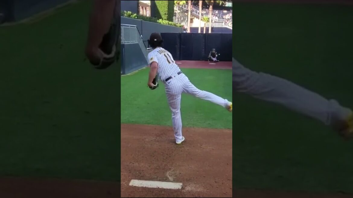 Yu Darvish Bullpen  #mlb  #shorts