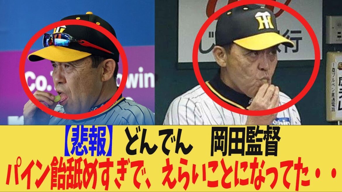 [Hanshin]Director Okada licked the pineapple candy too much and it was embarrassing.  .  .[Commentary]Donden Director Okada Koji Chikamoto Takumu Nakano Yusuke Oyama Teruaki Sato Shohei Otani Shintaro Fujinami Roki Sasaki Masanao Yoshida