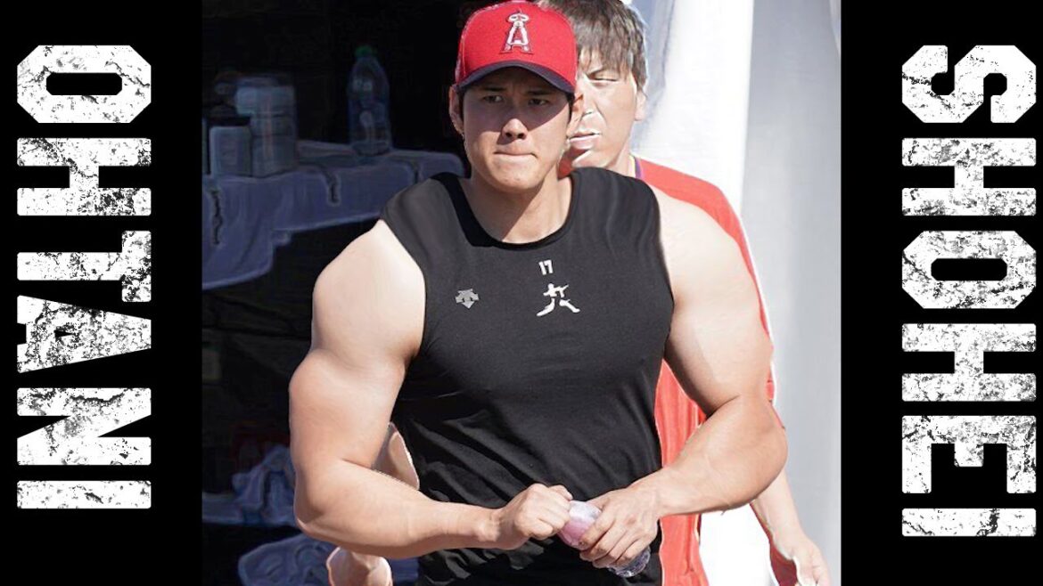 Which Shohei Ohtani do you like? Shohei's Transform App Shohei Ohtani Seven Transformations