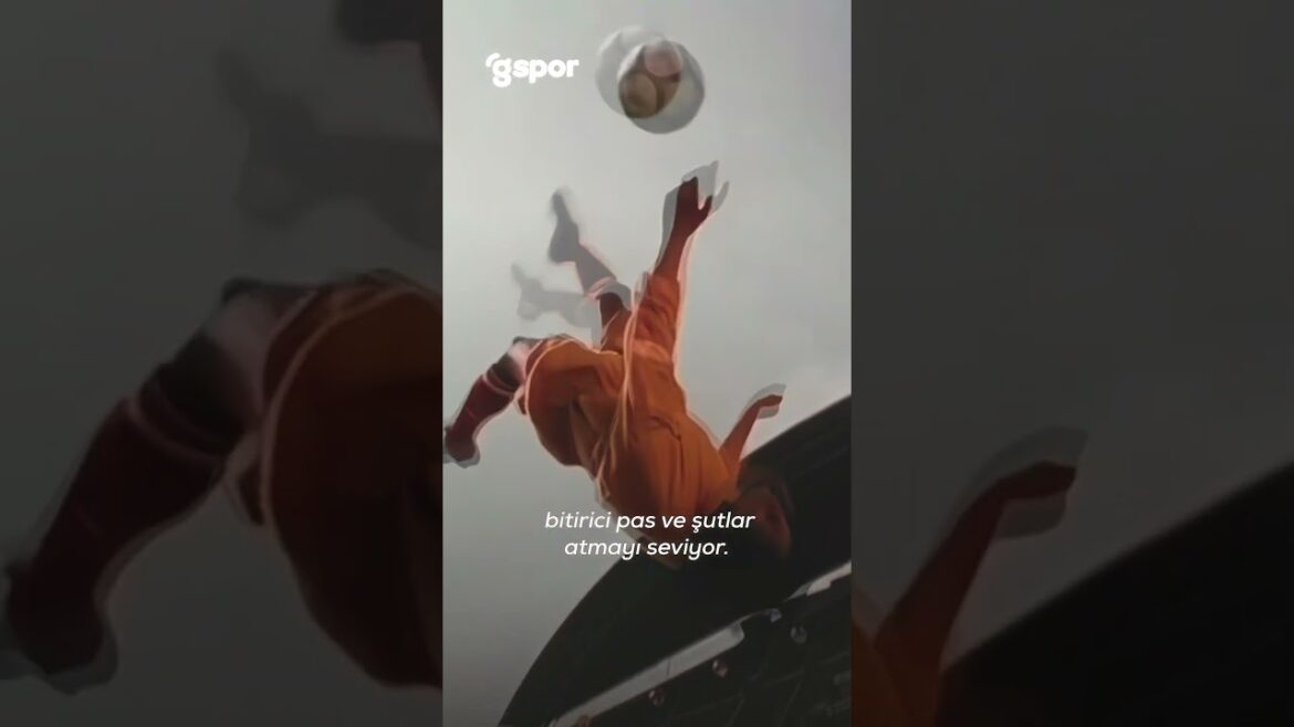 What can Kamada change in Galatasaray?