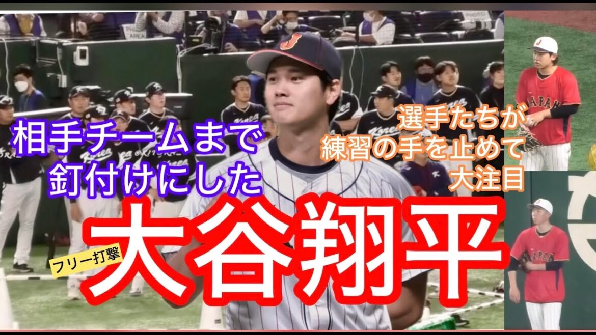 Shohei Otani's shocking free hitting that even nailed the Korean national team WBC