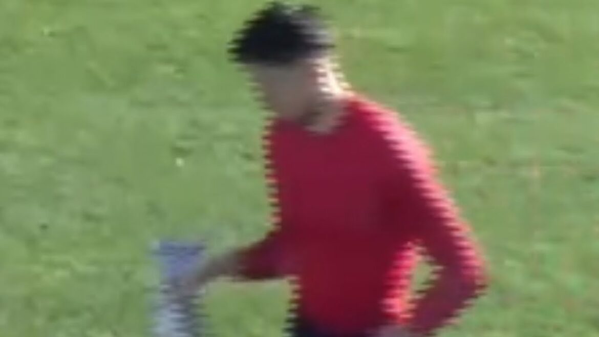 Schmidt Daniel January 12th