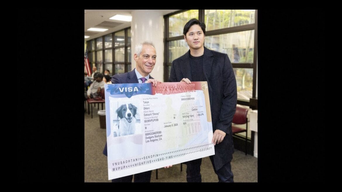 Baseball superstar Shohei Ohtani's dog gets mock US visa on visit to embassy in Tokyo｜Shohei Ohtani｜Baseball｜MLB