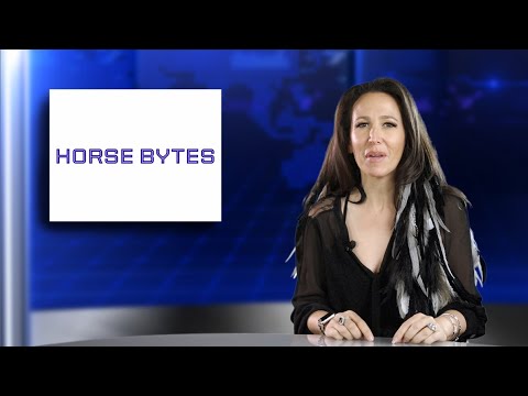 Horse Bytes Episode 2: Unveiling the Excitement of the First Major Event of the Year Horse Bytes Episode 2: Unveiling the Excitement of the First Major Event of the Year