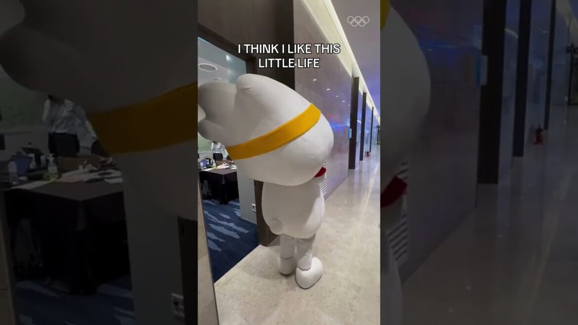 😔THIS LITTLE LIFE😔 #Gangwon2024