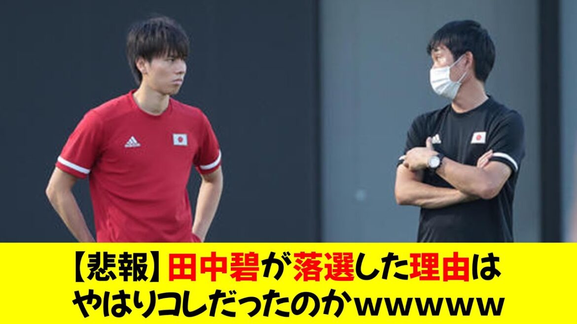 [Sad news]Was this the reason why Aoi Tanaka lost the election?