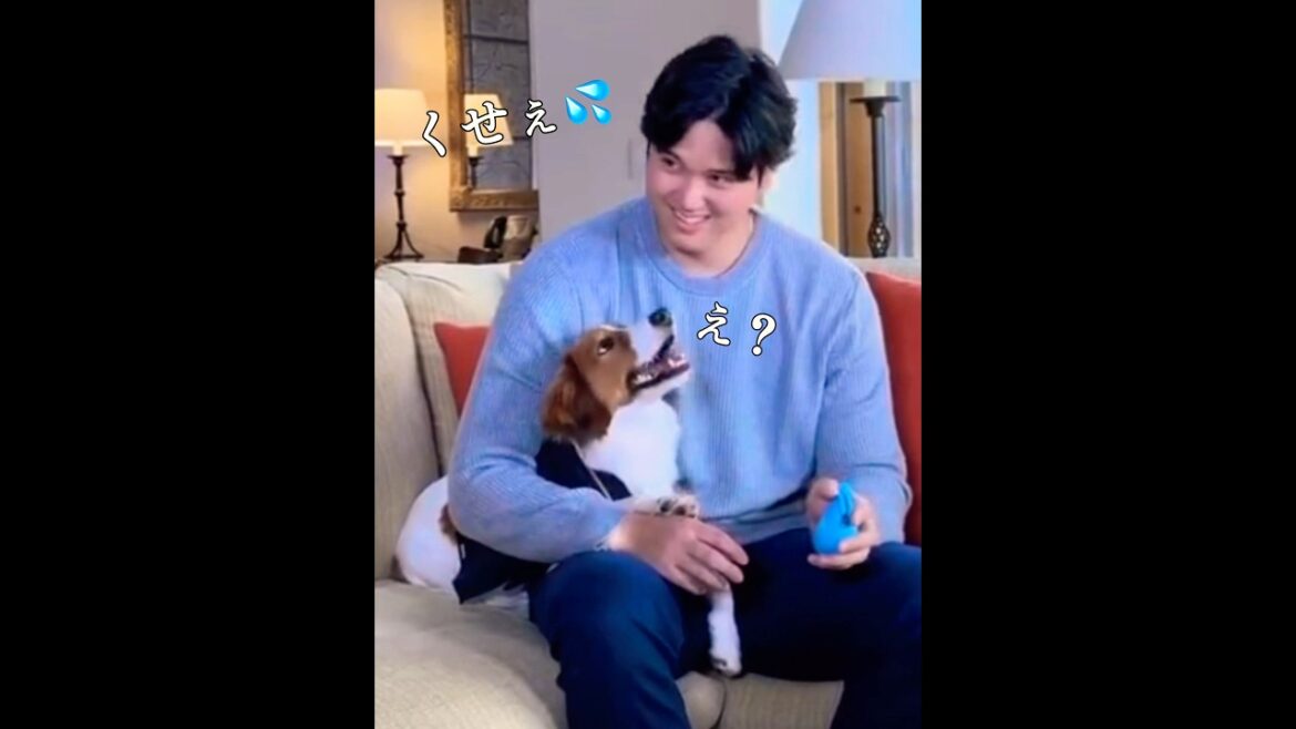 [Decopin]I'm too naughty and end up doing something #Shohei Otani #shoheiohtani #powerpro