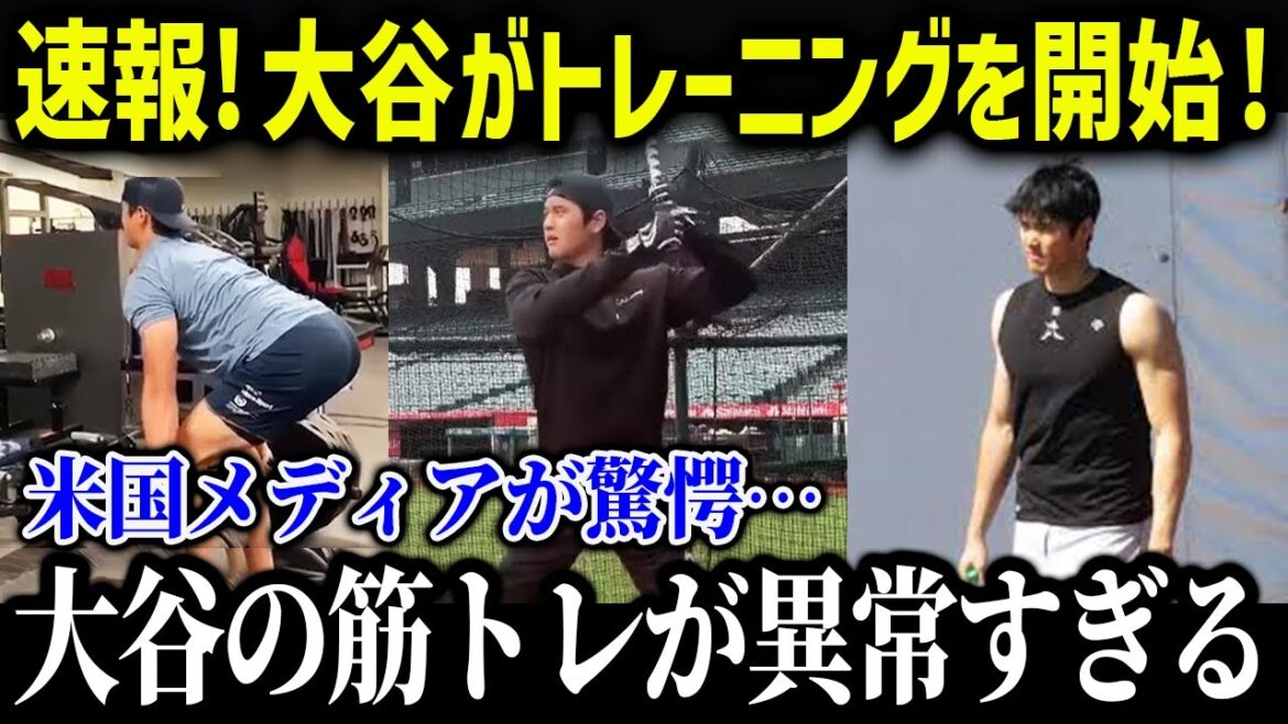 Shohei Otani finally starts! The US media was shocked by Otani's training content![Overseas reaction/MLB/Major/Baseball]