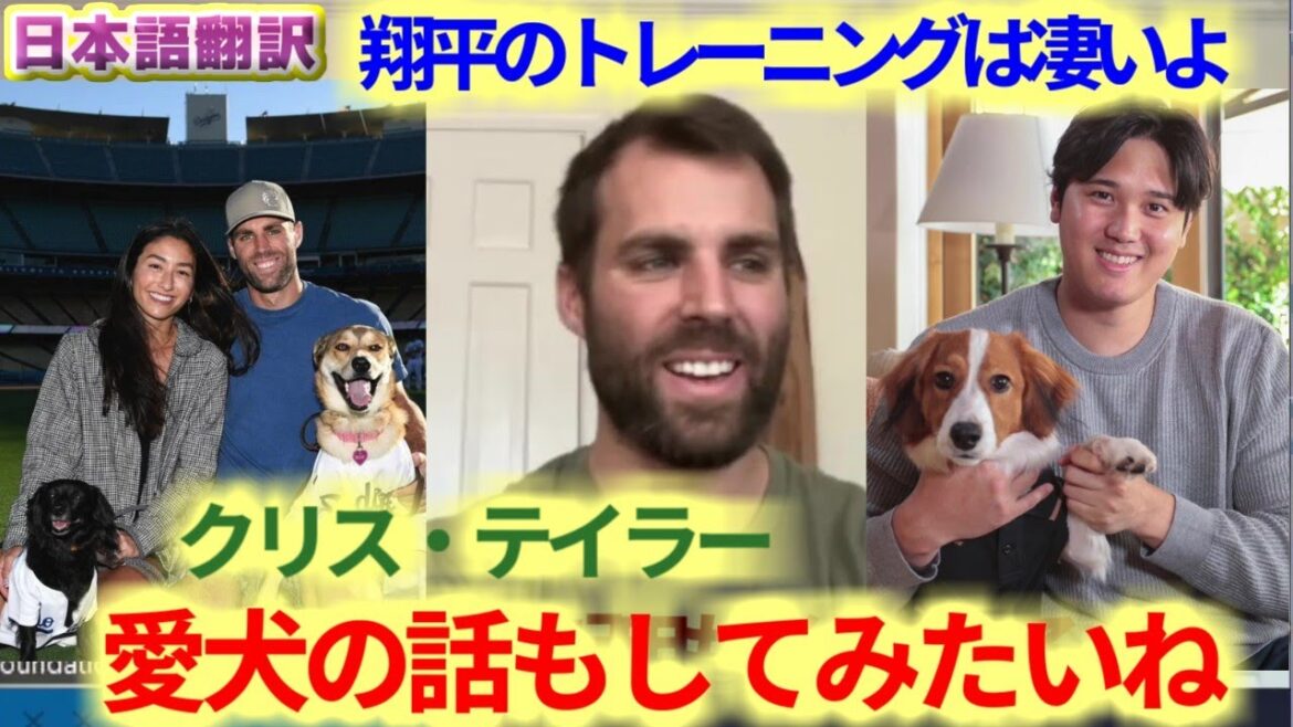 Chris Taylor talks about Shohei Otani’s training, spending 20 minutes on 20 practice swings.I also want to talk about his dog.With Japanese translation subtitles Chris Taylor talks about Shohei Otani's training, spending 20 minutes on 20 practice swings.I also want to talk about his dog.With Japanese translation subtitles