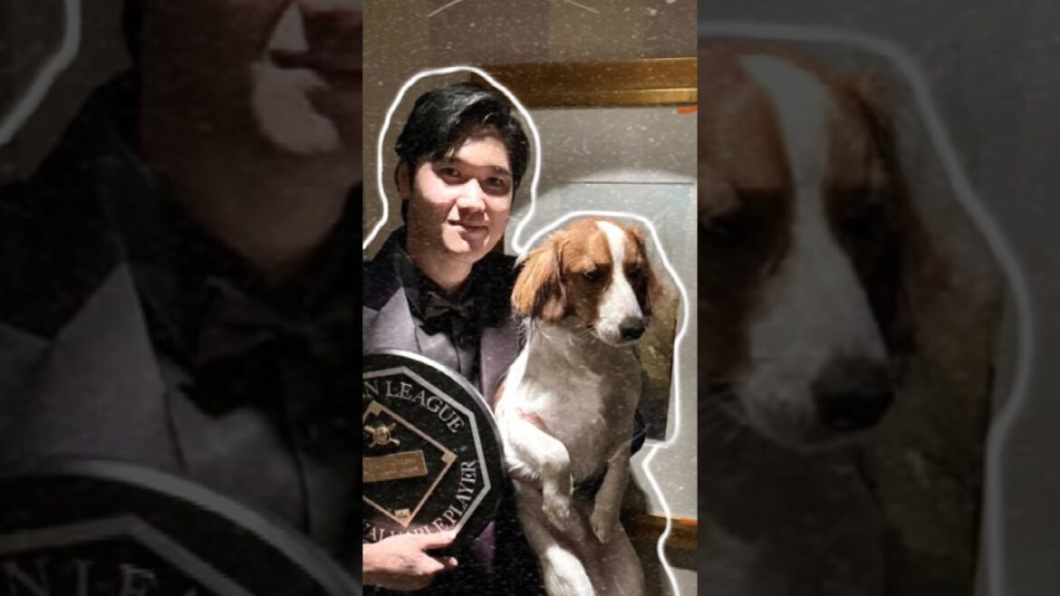 [Decopin]Your Eye #Shohei Otani #shoheiohtani #shorts