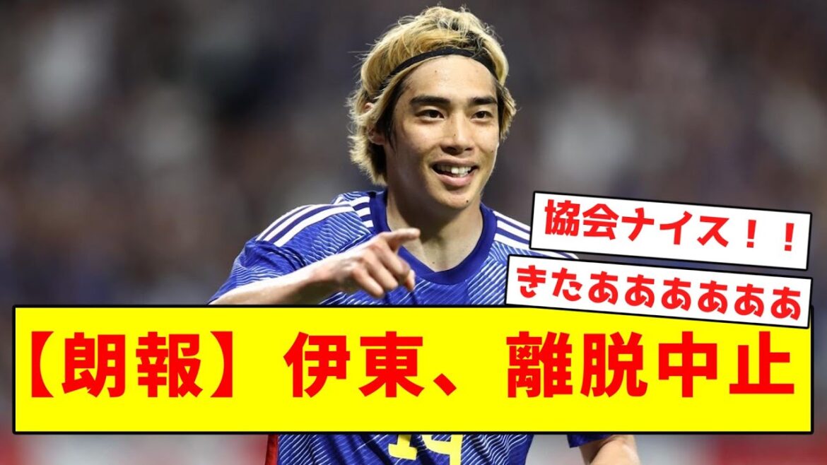 [Super good news]Ito cancels withdrawal!  !