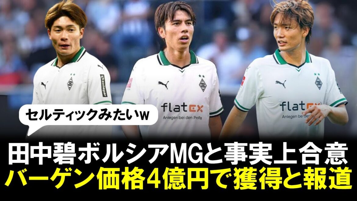 [Good news]Aoi Tanaka transfers to Borussia MG, ``De facto agreed. Acquired at bargain price of 400 million yen,'' a local paper reports!  Will DF Akira Itakura and FW Fukuda Shio fight together?