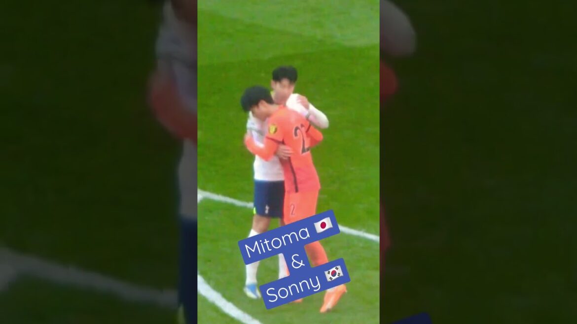 Mitoma and Heung Min Son ｜ Mitoma and Heung Min Son