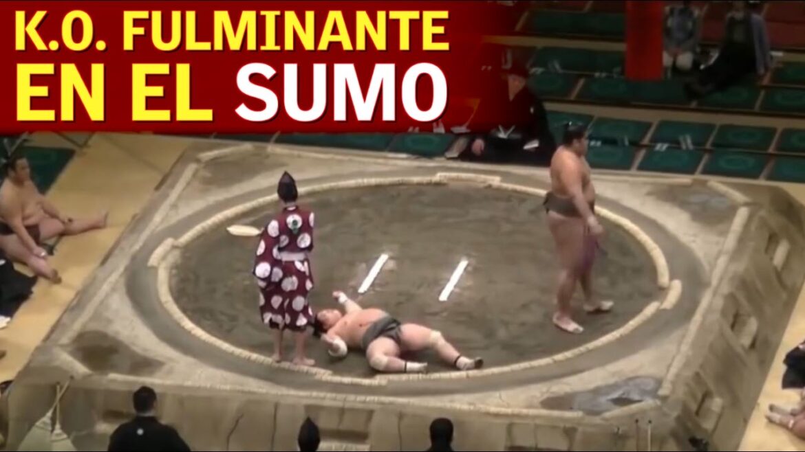 The most distressing KO in sumo history: 100% groggy! | AS Diary The most distressing KO in sumo history: 100% groggy! | AS Diary